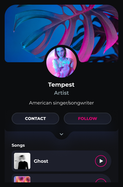Tempest artist profile created with Linkify